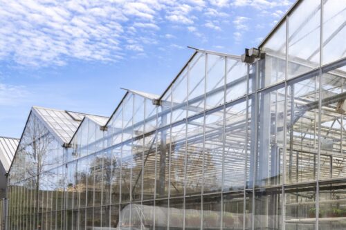 Pompa ciepła do szklarni – stabilne ciepło i niższe rachunki przez cały rok